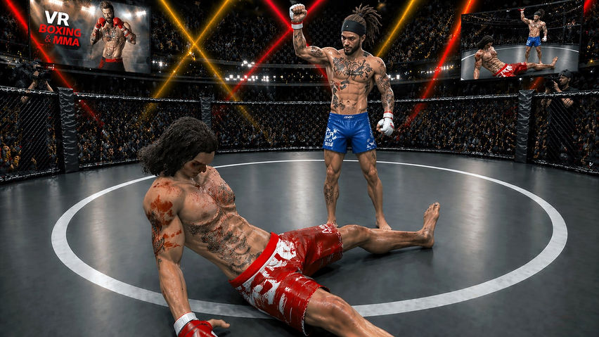 VR Boxing And MMA