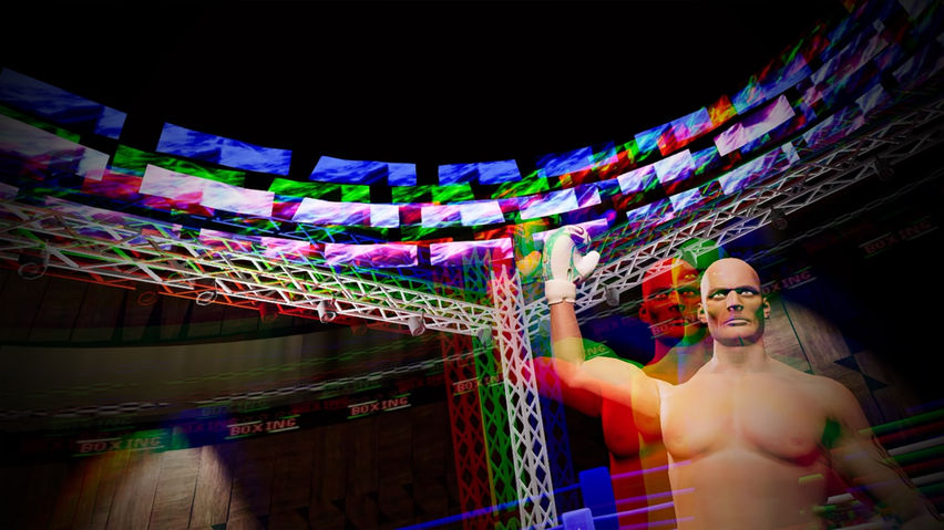 MMA Cage Conquest