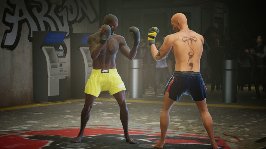 MMA Cage Conquest