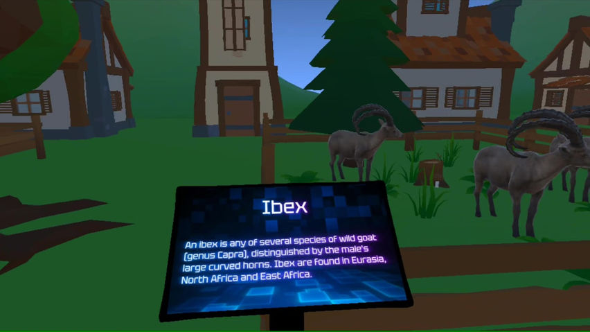Virtual Zoo