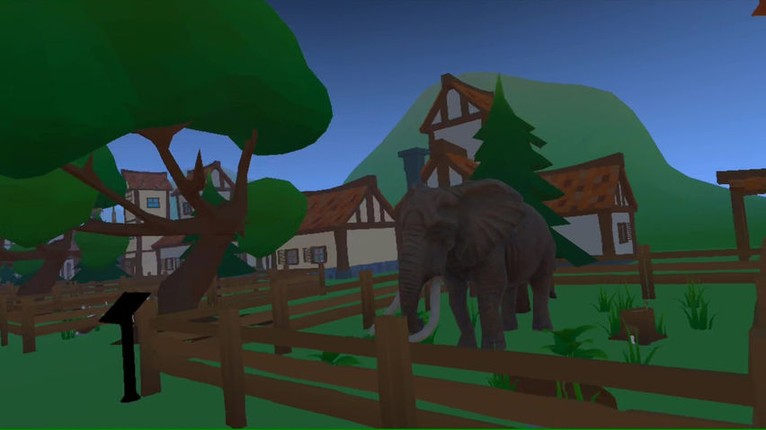 Virtual Zoo
