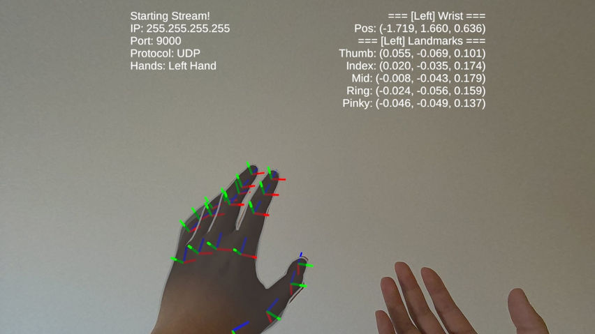 Hand Tracking Streamer
