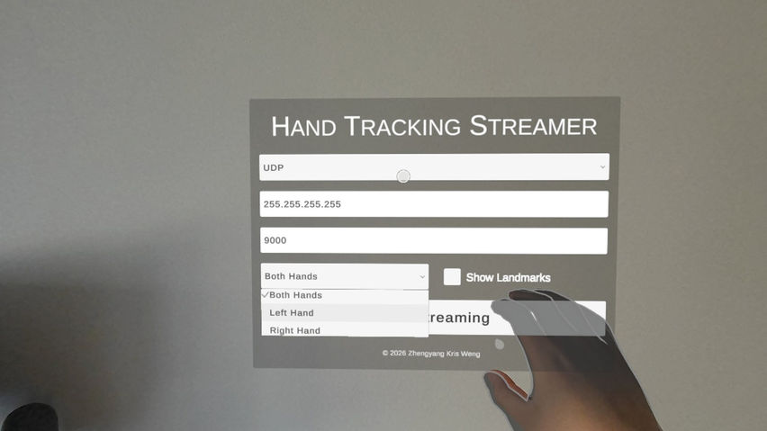 Hand Tracking Streamer