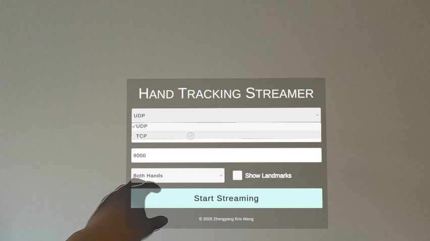 Hand Tracking Streamer