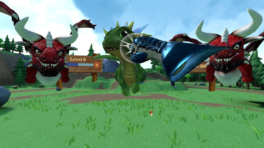 Dragon Boxer