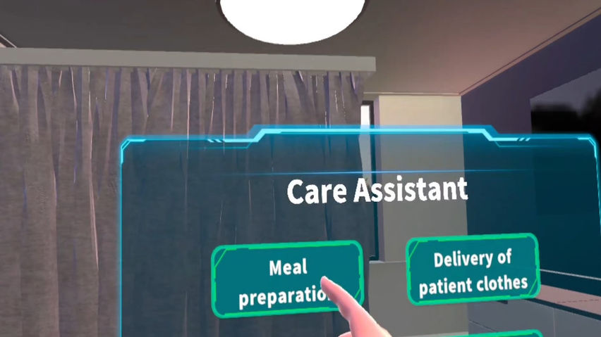 Care Assistant