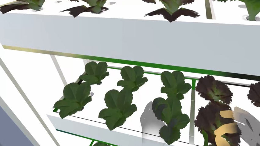 Smartfarm - School