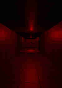 The Vents