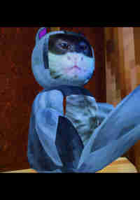 Tamarin