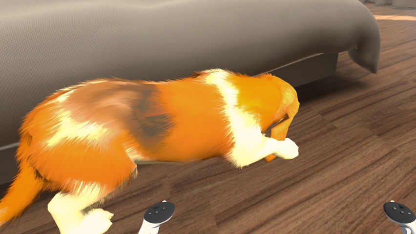 My puppy: Basset Hound