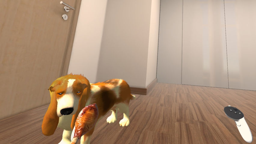 My puppy: Basset Hound