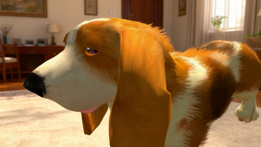 My puppy: Basset Hound