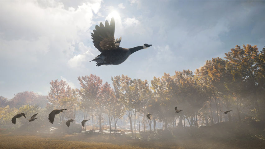 Animal Hunting Simulator: VR Sniper