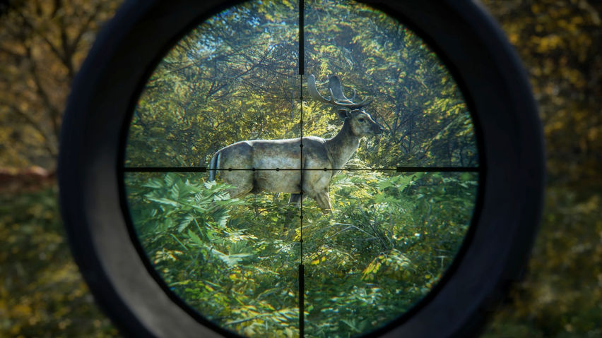 Animal Hunting Simulator: VR Sniper