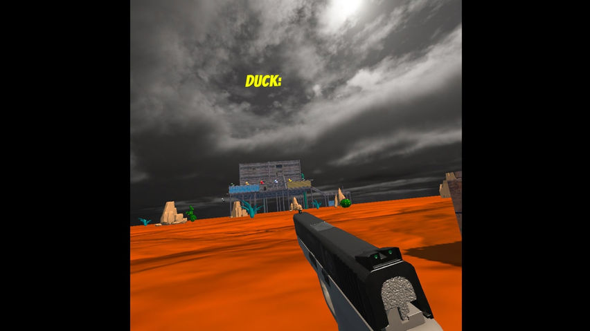 Duck Shoot