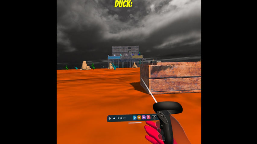 Duck Shoot
