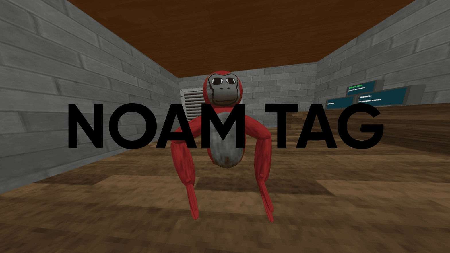 Noam Tag