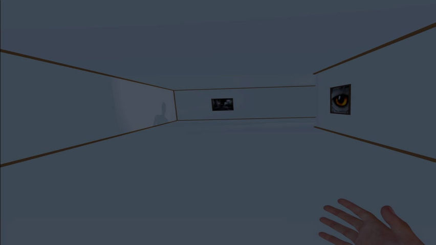 The Phinx Experiment