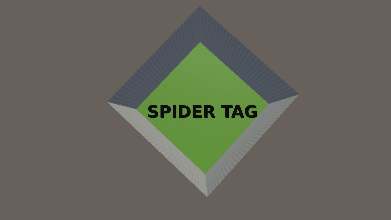 Spider Tag