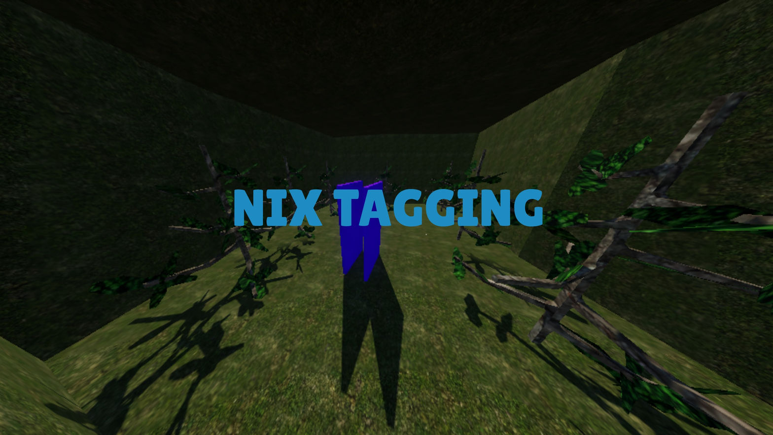 Nix Tagging