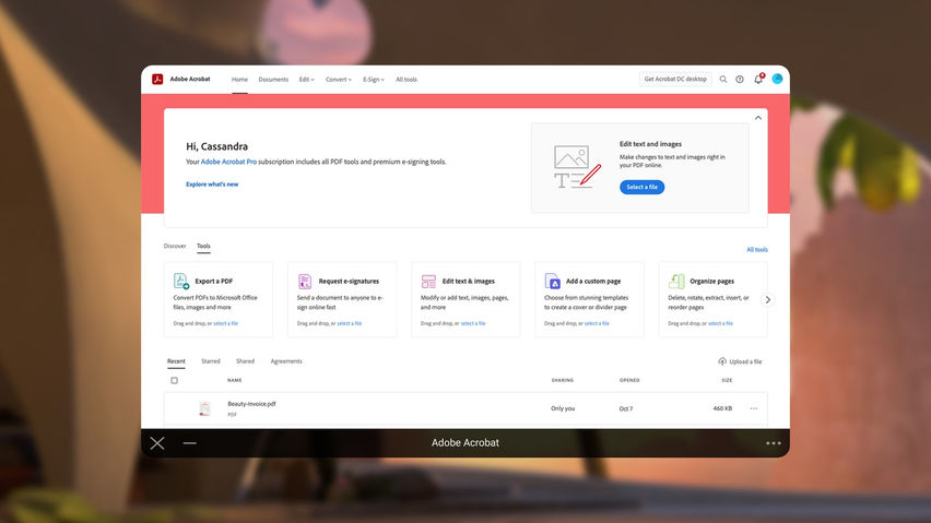 Adobe Acrobat
