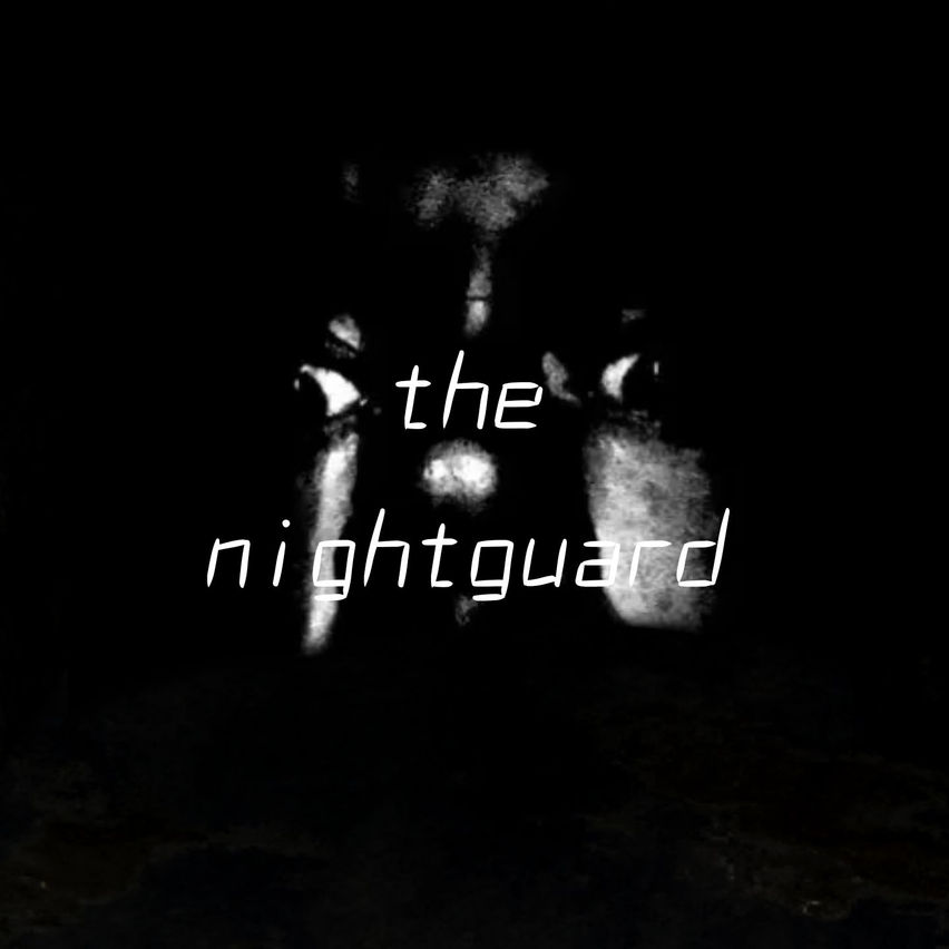 The NightGuard - Demo