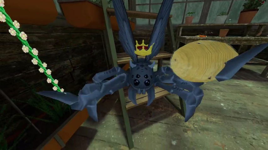 Spiders