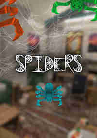 Spiders