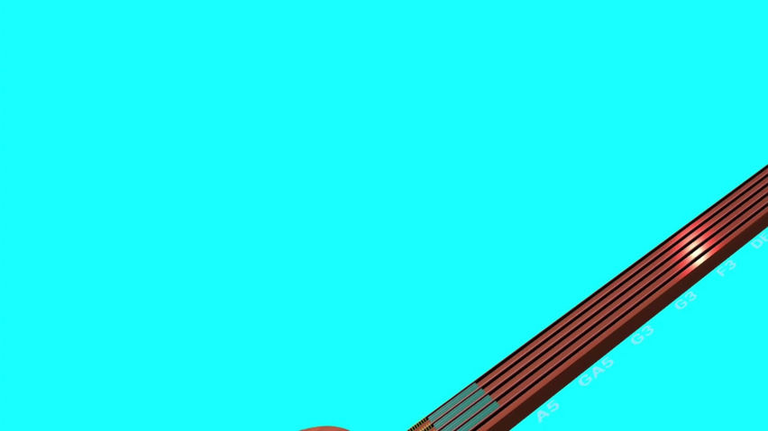 Acoustic Guitar