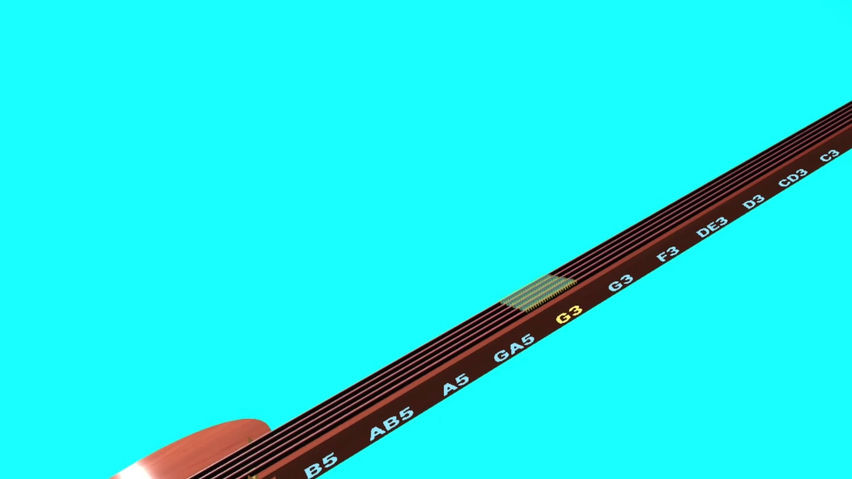 Acoustic Guitar