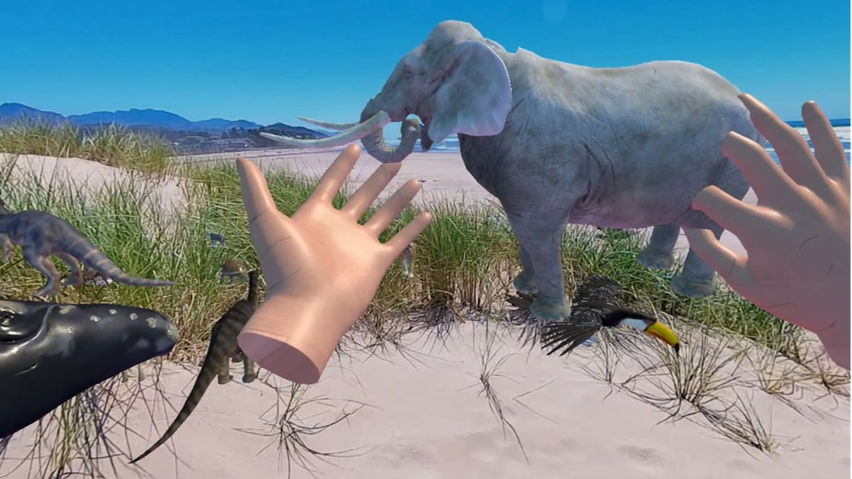 ZOSU Zoo