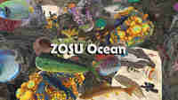 ZOSU Ocean