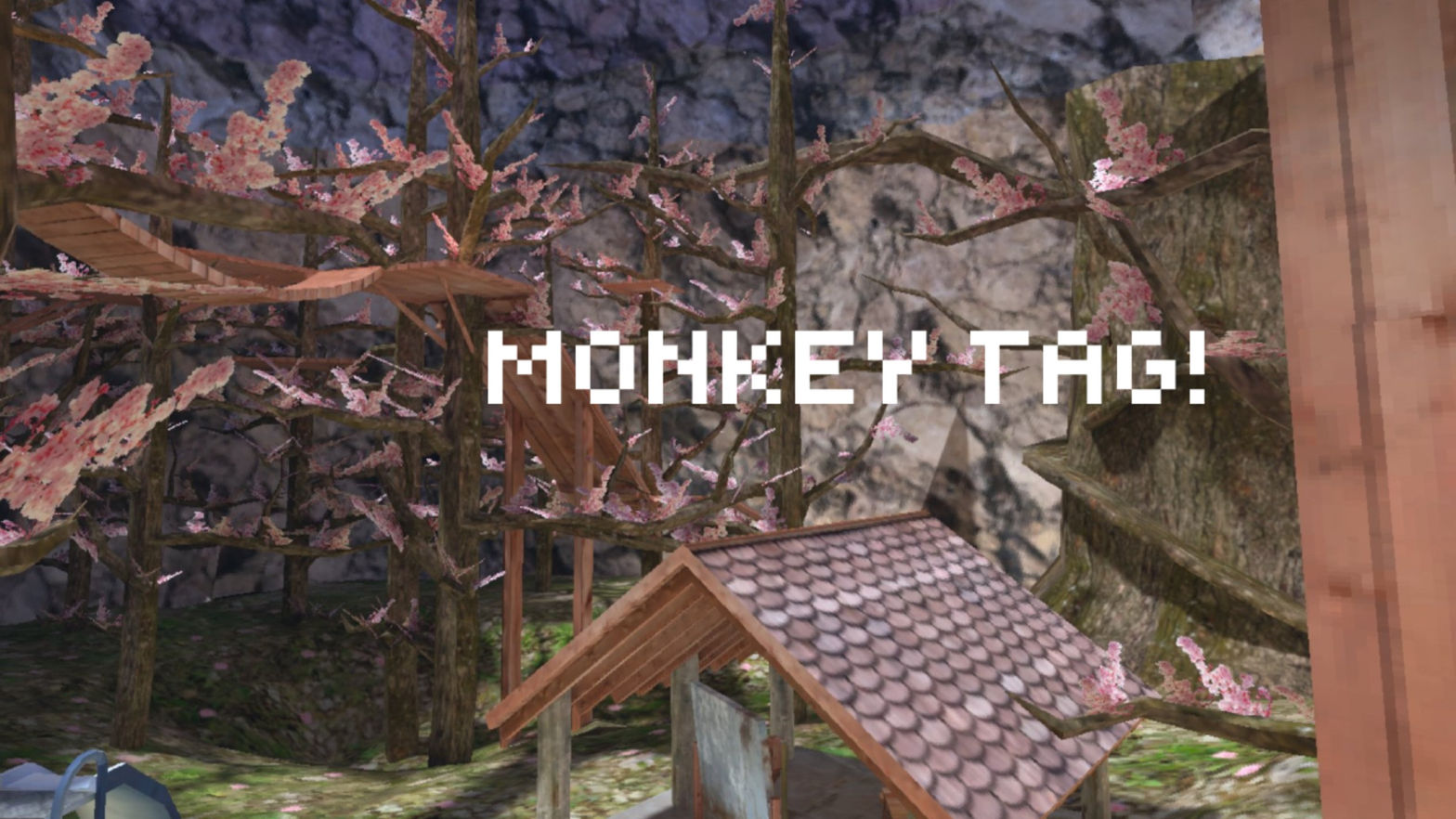 MONKEY TAG