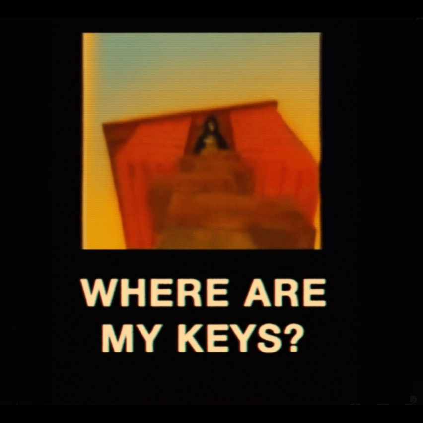 Where Are My Keys? (Gorilla Story)