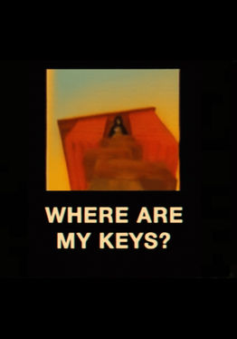 Where Are My Keys? (Gorilla Story)