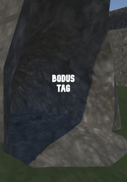 BodusTag