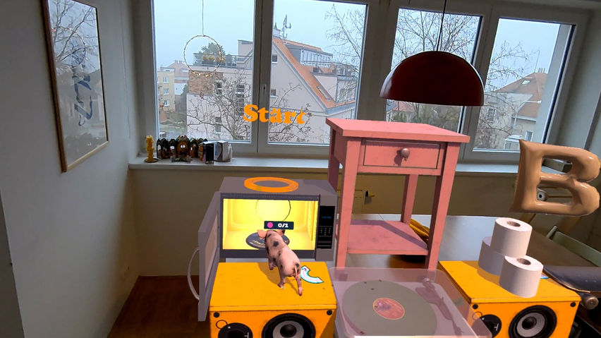 Pet & Run