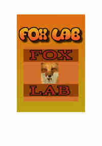 Fox Lab