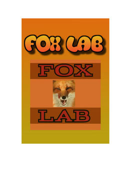 Fox Lab