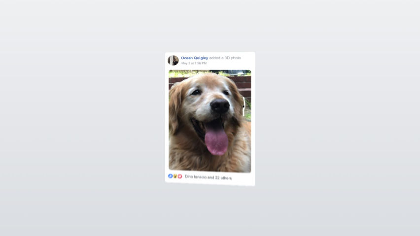 Oculus Browser