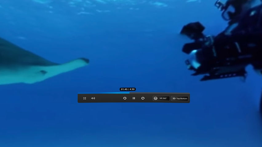 Oculus Browser