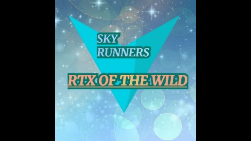 SKY RUNNERS