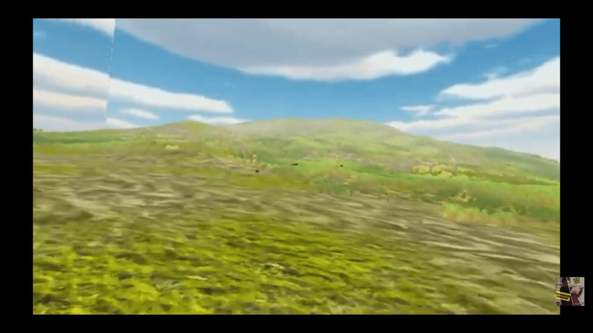 SKY RUNNERS