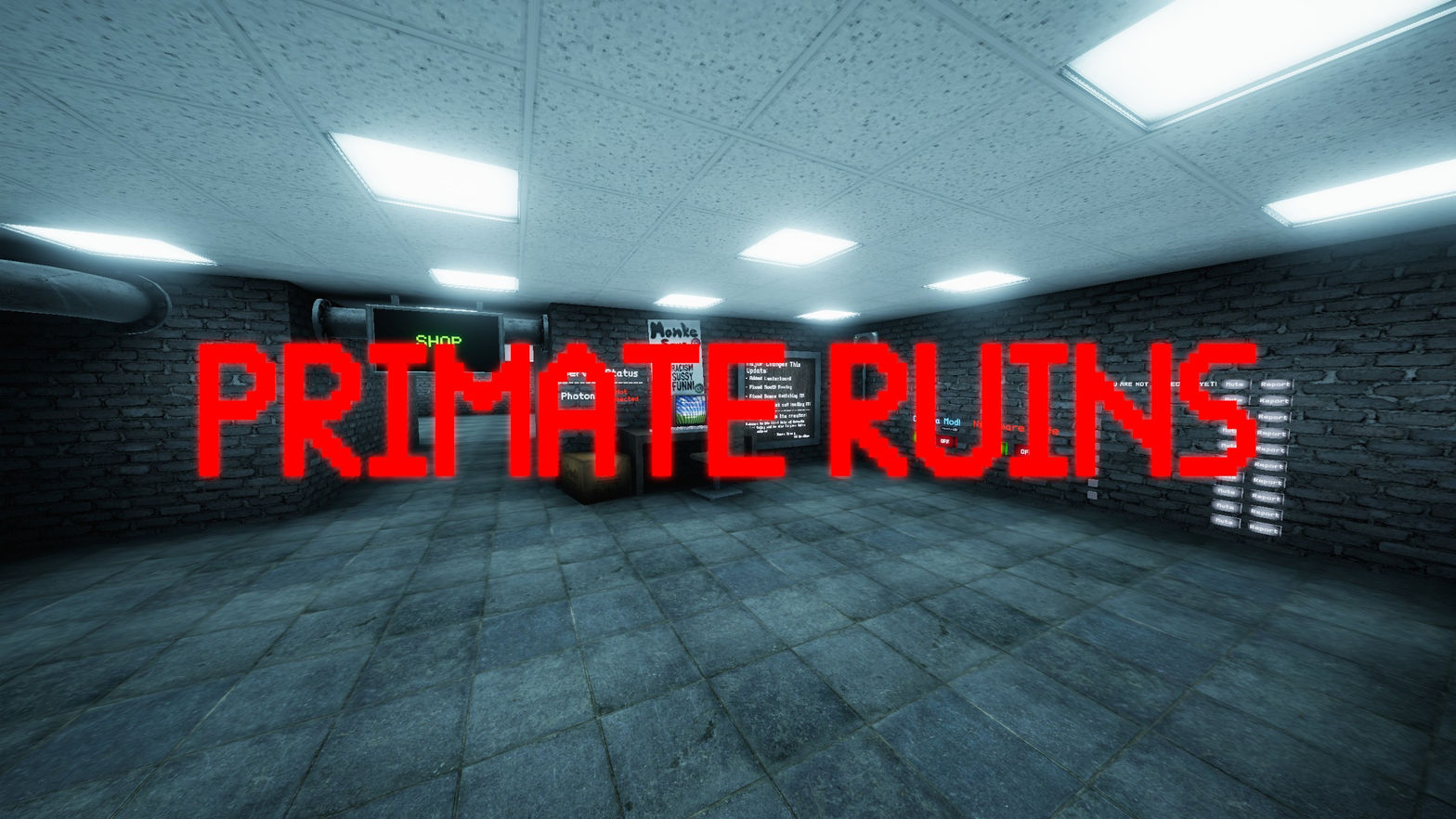 Primate Ruins