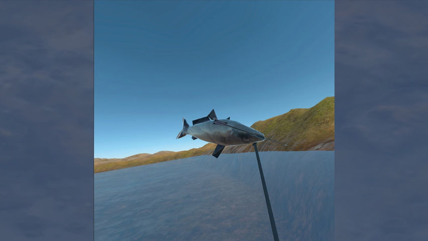Bowfishing Excursions