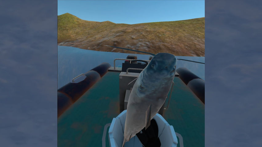 Bowfishing Excursions