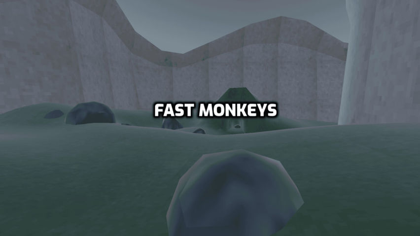 Fast Monkeys