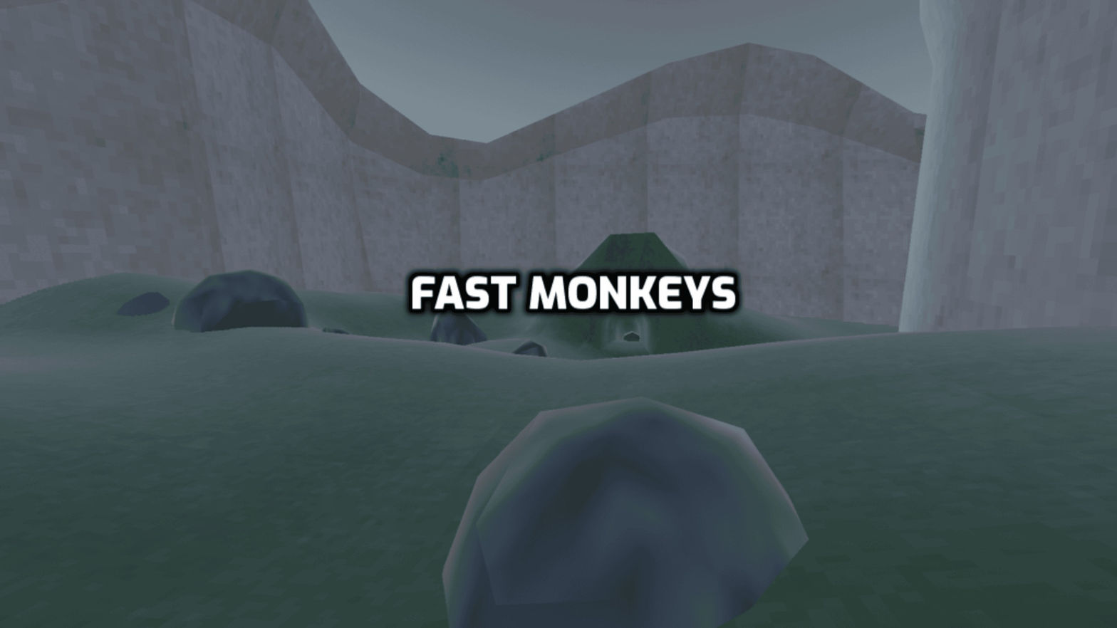 Fast Monkeys
