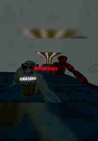 Scared Baboon OG