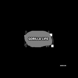 Gorilla Life